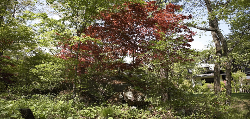 autumn_04