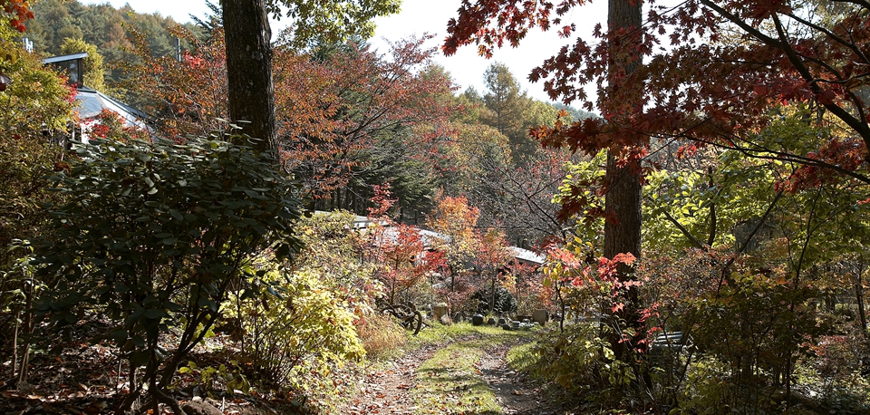 autumn_05