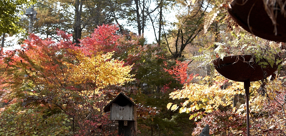 autumn_06