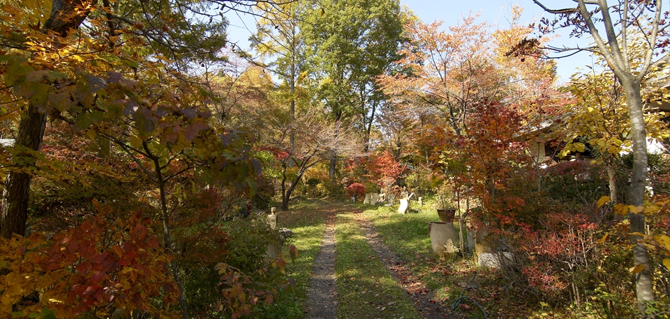 autumn_09