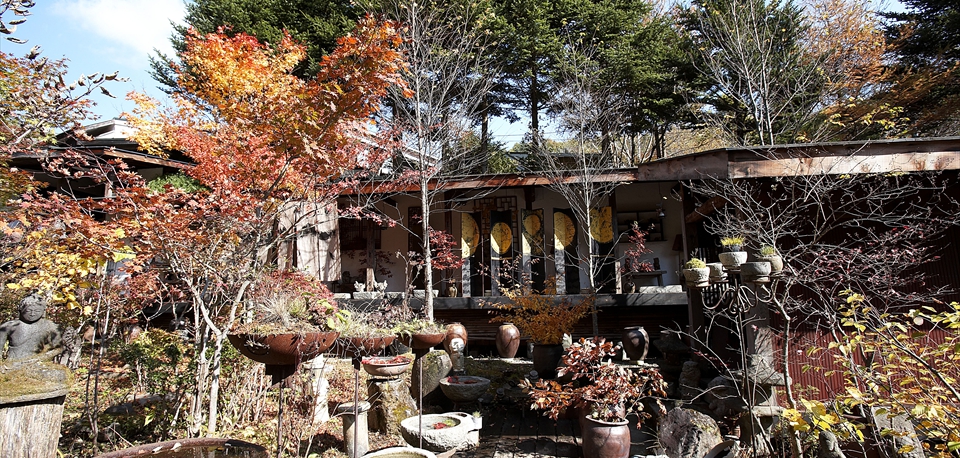 autumn_11