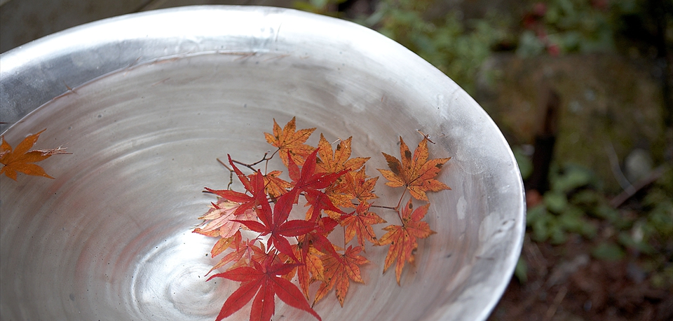 autumn_12