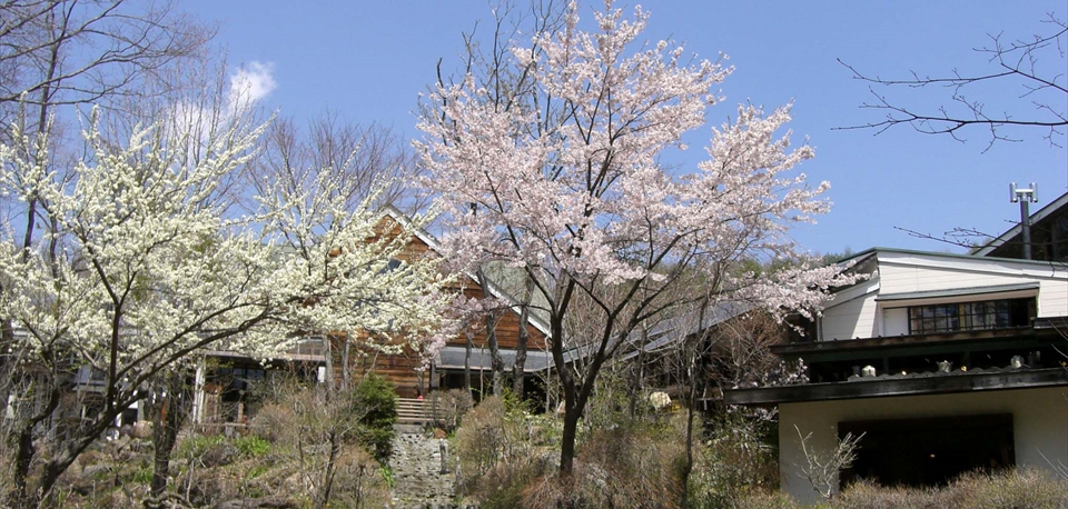 spring_04
