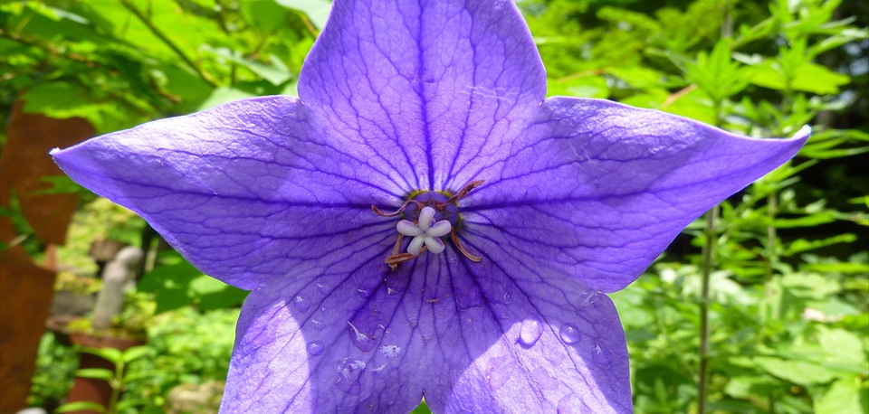 Summer_05