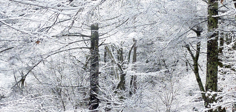 winter_01